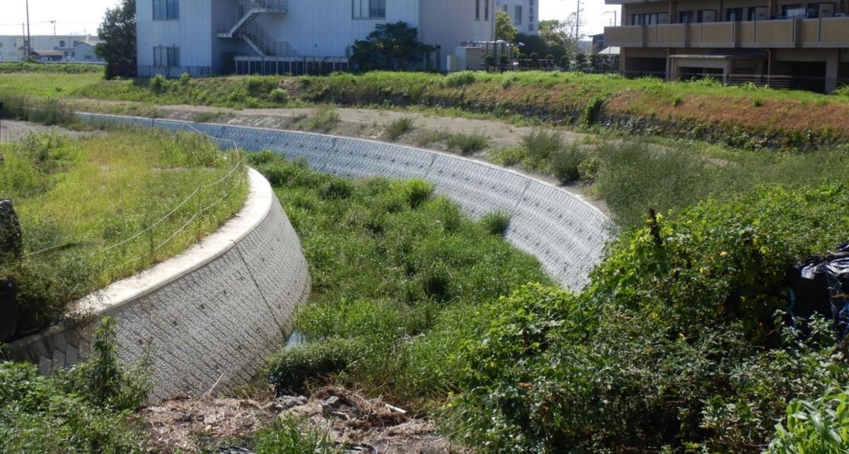 建設コンサルタント（河川・砂防部門）